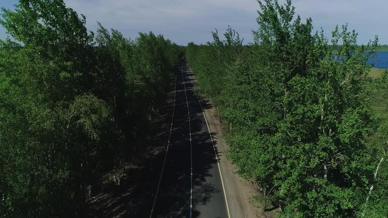 Forest Road Networks: Minimizing Environmental Impacts