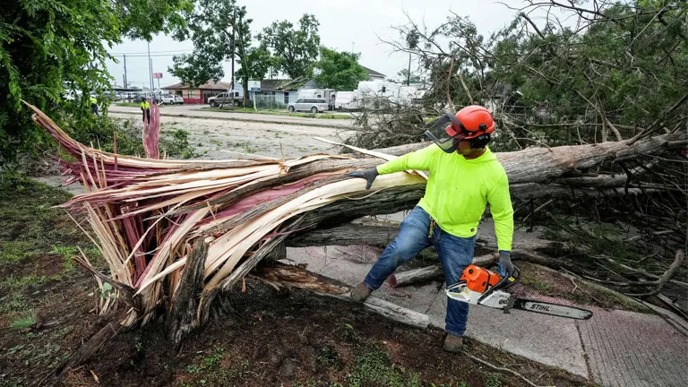 Worker wearing protective gear uses a chainsaw to remove a fallen tree during storm cleanup.