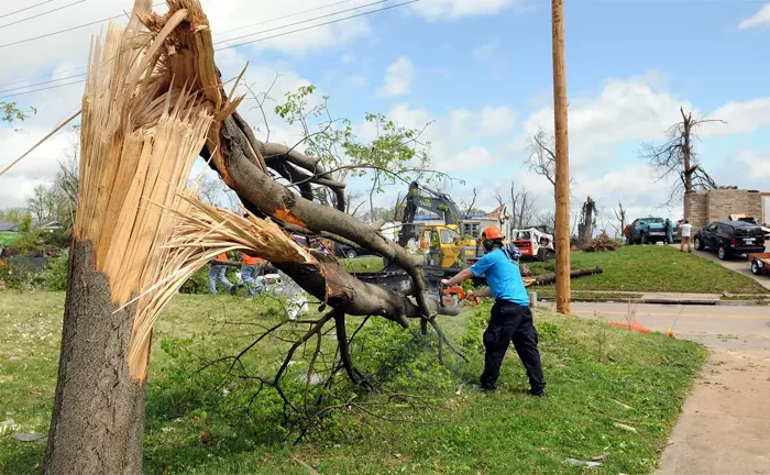 Chainsaw Safety Important During Storm Cleanup