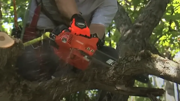 Arborist using Echo CS-355T chainsaw to cut a tree branch, demonstrating its power and efficiency in professional tree care.