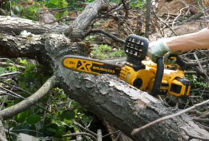 Dewalt 20V chainsaw