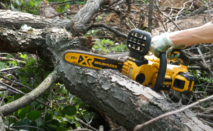 Dewalt 20 Volt Max XR DCCS620 12-inch Chainsaw Review