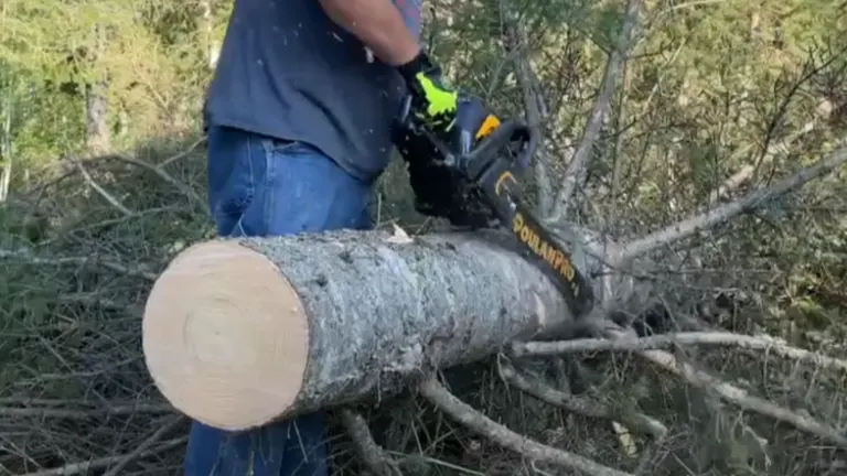 Man using Poulan Pro 50cc PR5020 chainsaw to cut a fallen tree.