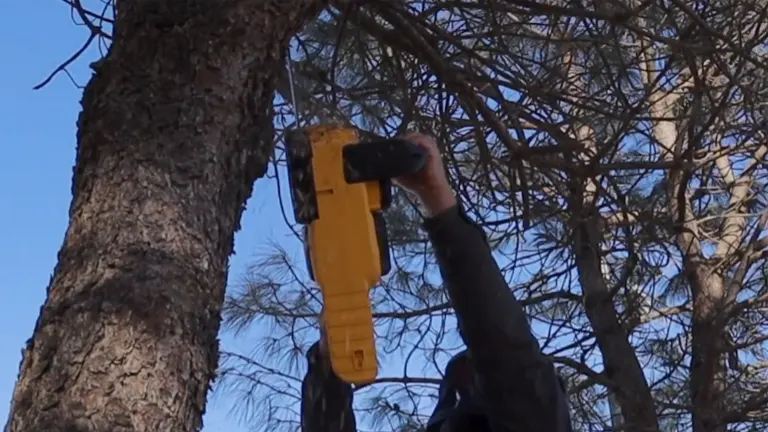 User using Dewalt DCCS670T1 Flexvolt Brushless Chainsaw to cut tree branches overhead.