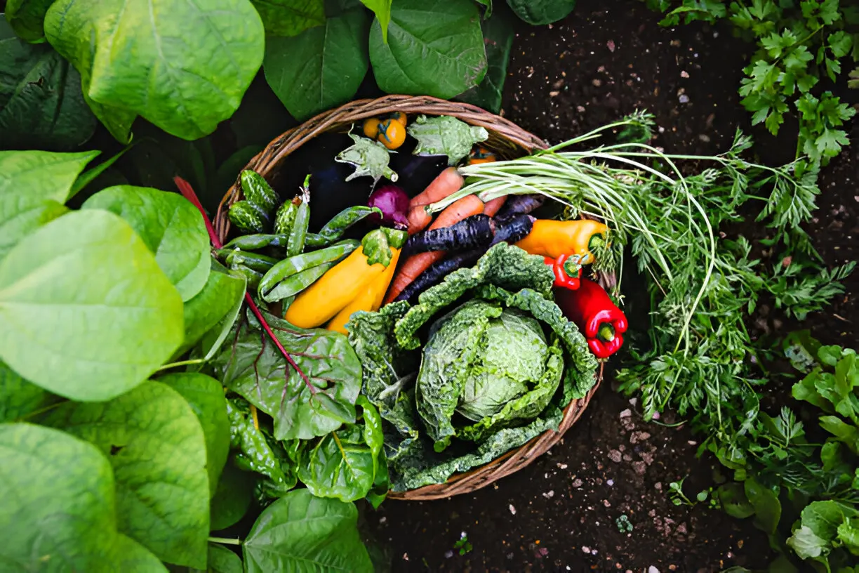 10 Easiest Vegetables to Grow for Beginners: A Stress-Free Guide to Fresh Harvests